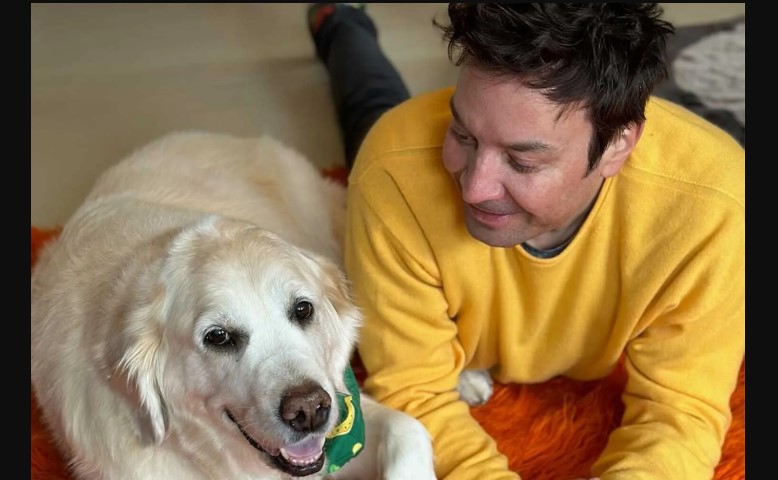 Jimmy Fallon, Jimmy Fallon dog, Jimmy Fallon pet death, Jimmy Fallon mourning, Jimmy Fallon emotional post, Jimmy Fallon Instagram, Jimmy Fallon tribute, Jimmy Fallon first baby, Jimmy Fallon sad news, Jimmy Fallon family, Jimmy Fallon loses pet, Jimmy Fallon grieving, Jimmy Fallon heartbreak, Tonight Show host Jimmy Fallon, Jimmy Fallon news, celebrity pet loss, celebrity news, Jimmy Fallon emotional tribute, Jimmy Fallon fans react, Jimmy Fallon 2025